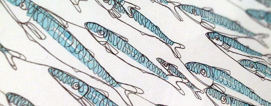 mackerel_shoal_slide