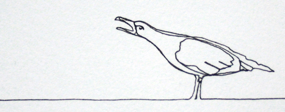 slide_gull_detail