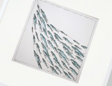 mackerel_shoal_03