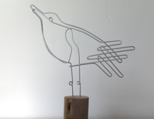 gull_04_thumb
